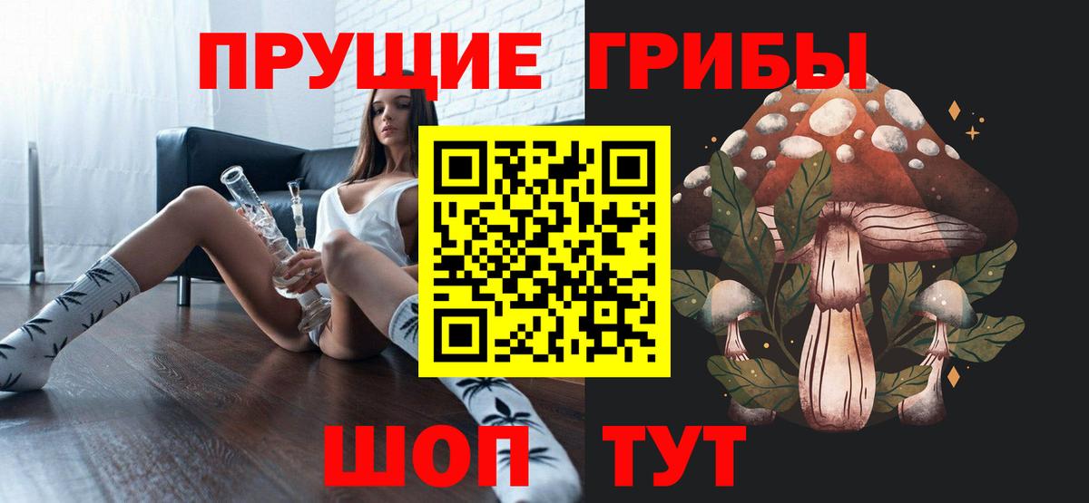 Михайловск  Псилоцибиновые грибы MAGIC MUSHROOMS  Галлюциногенные грибы Cubensis  Вход с VPN 